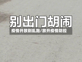 疫情开放别乱跑/放开疫情防控