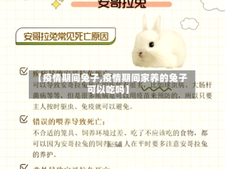 【疫情期间兔子,疫情期间家养的兔子可以吃吗】