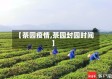 【茶园疫情,茶园封园时间】