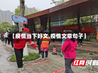 【疫情当下好文,疫情文章句子】