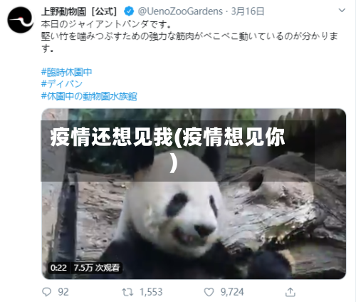 疫情还想见我(疫情想见你)-第1张图片
