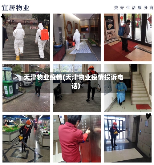 天津物业疫情(天津物业疫情投诉电话)-第1张图片