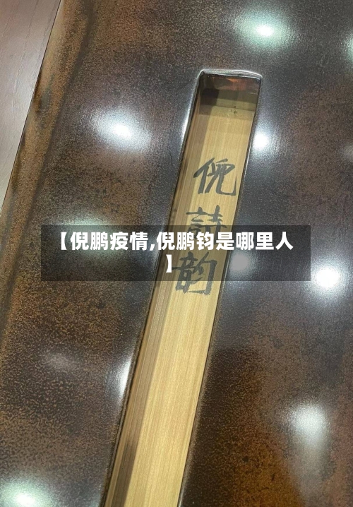 【倪鹏疫情,倪鹏钧是哪里人】-第1张图片