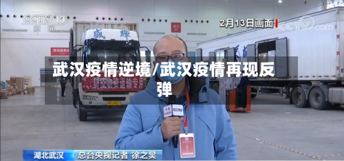 武汉疫情逆境/武汉疫情再现反弹-第2张图片