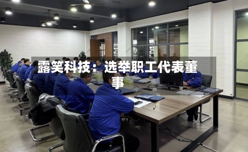 露笑科技：选举职工代表董事-第2张图片