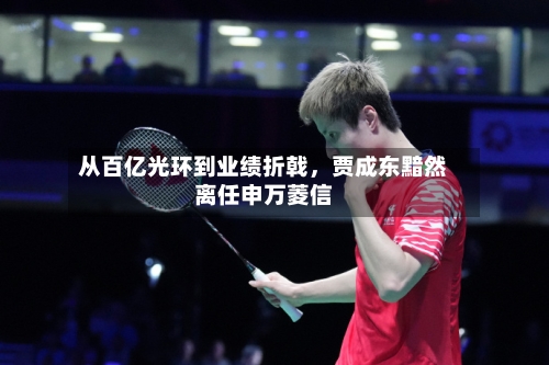 从百亿光环到业绩折戟，贾成东黯然离任申万菱信-第2张图片