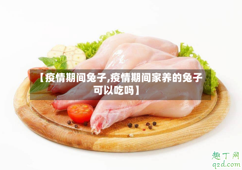 【疫情期间兔子,疫情期间家养的兔子可以吃吗】-第2张图片
