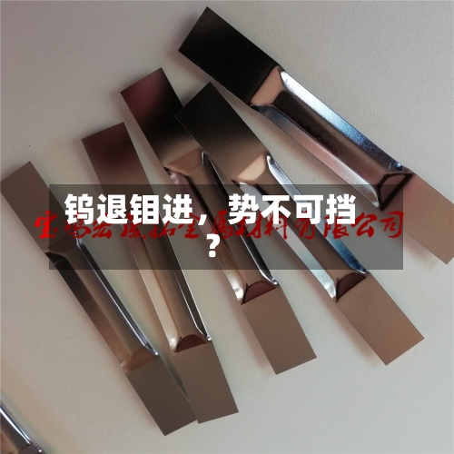 钨退钼进，势不可挡？-第1张图片